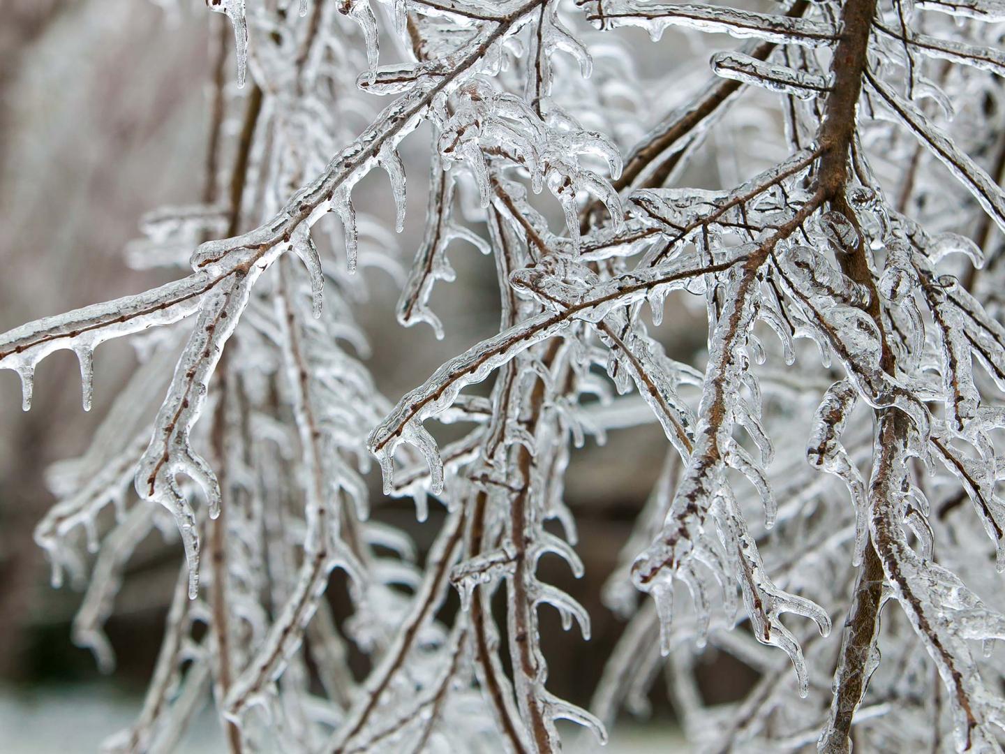 States of Matter - Vermont Institute of Natural Science