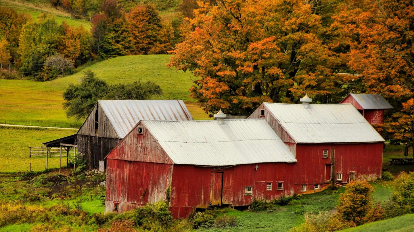 A photographer's guide to perfecting your fall foliage snaps | Woodstock VT