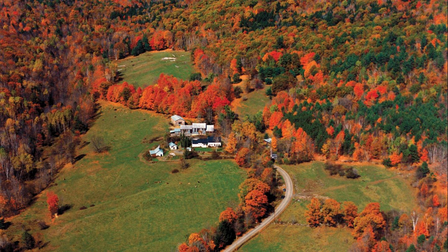 The Cheese House: A Quirky Vermont Cheese Shop Worth Visiting