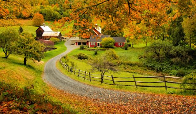 A photographer's guide to perfecting your fall foliage snaps | Woodstock VT